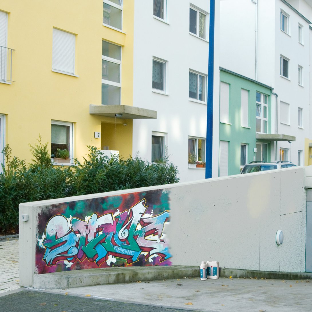 Graffitischutz Entferner schonend Garageneinfahrt